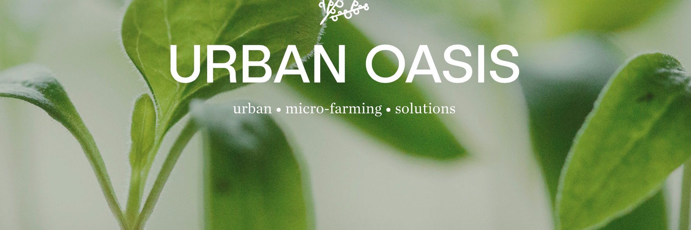 UrbanOasisZA's profile banner image