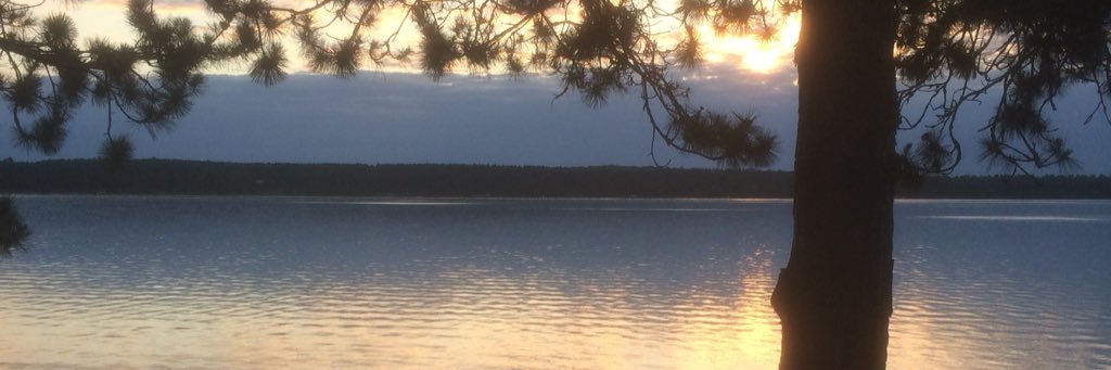 PatrickEiden's profile banner image