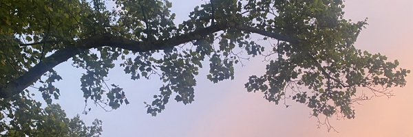 kejones_ Profile Banner