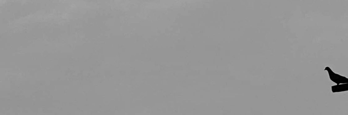 b8a1's profile banner image