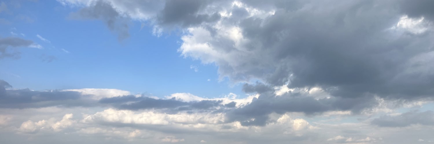 FalseeAlarm's profile banner image