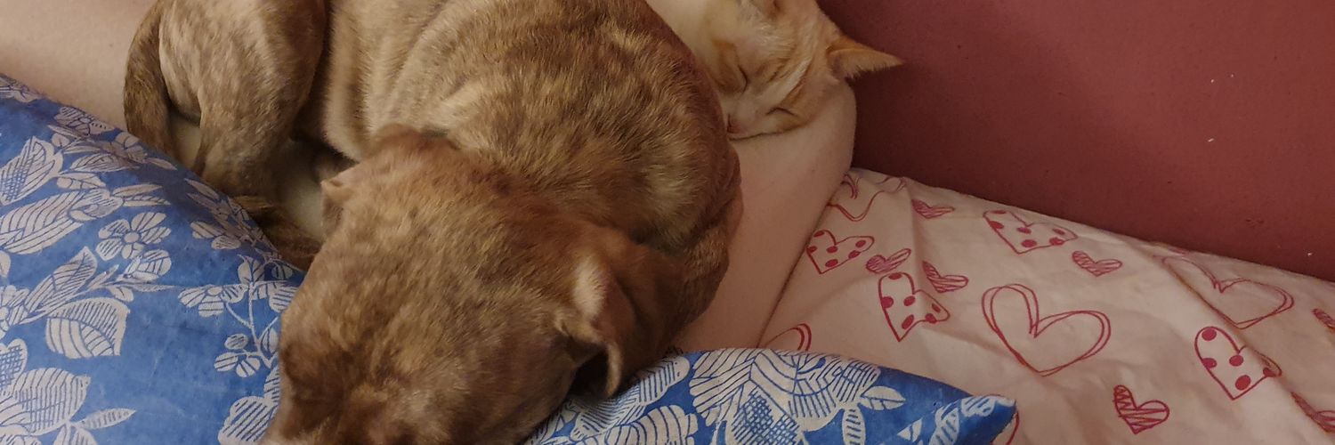 marirm40's profile banner image