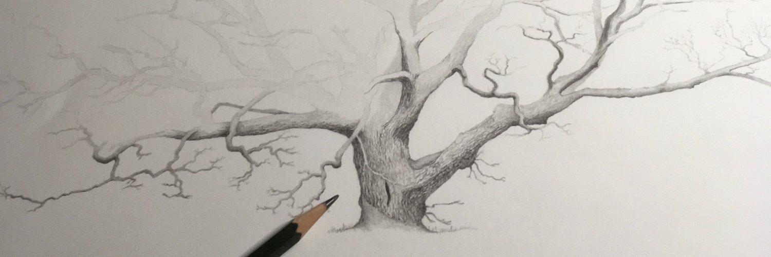 ECinerea's profile banner image