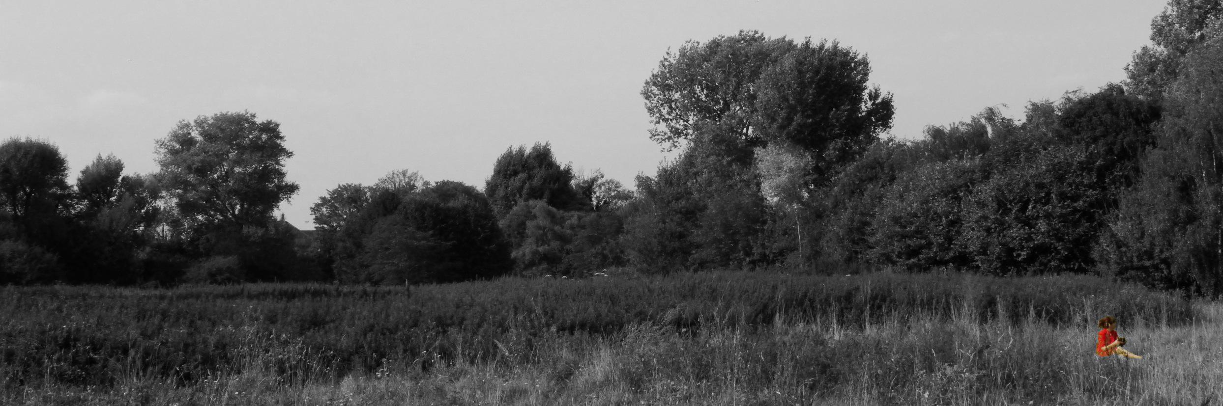 ashgrifftweets's profile banner image
