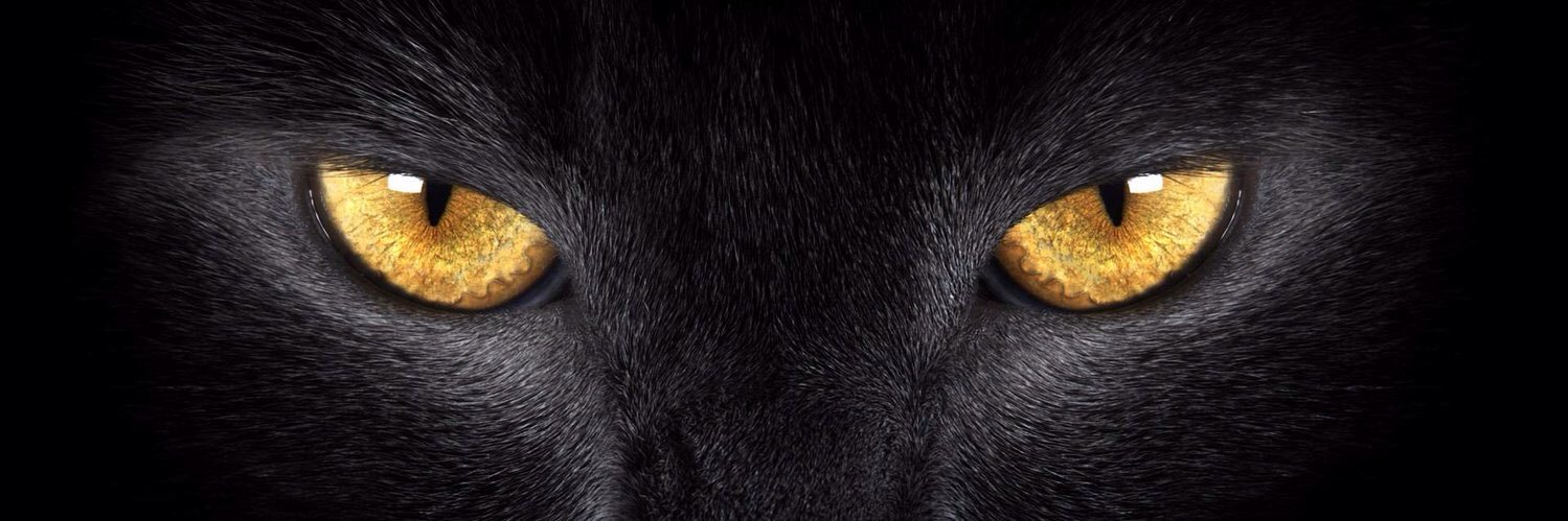aramis68_'s profile banner image