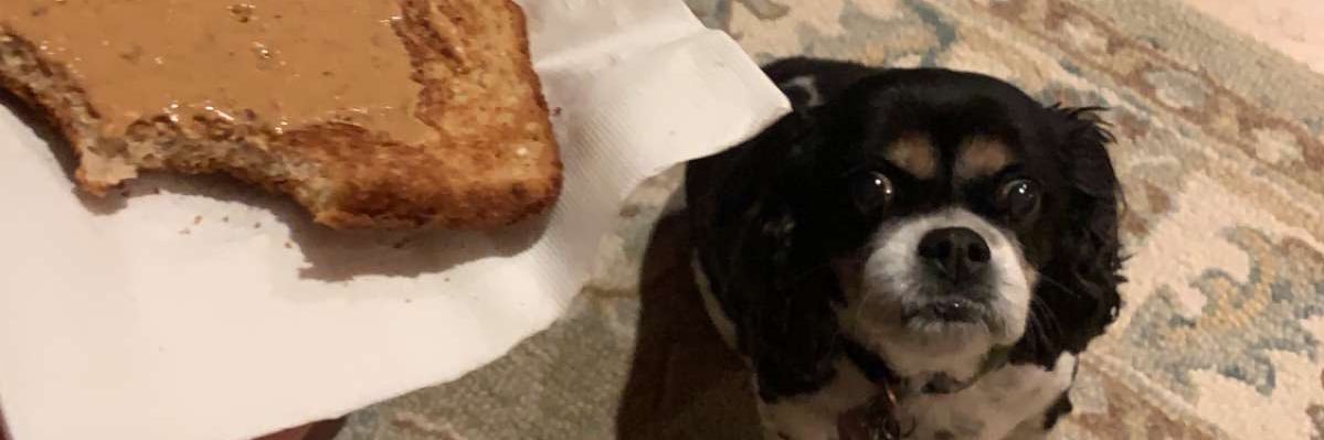 arwmadison's profile banner image