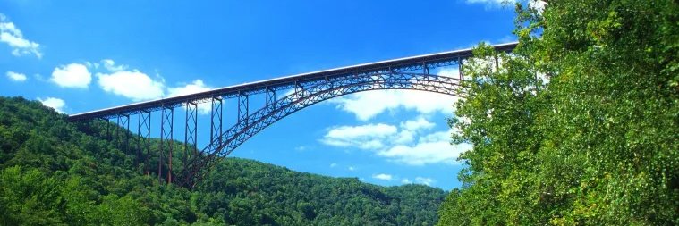 Jonathan Adkins banner