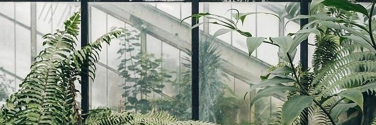 anna_domet's profile banner image