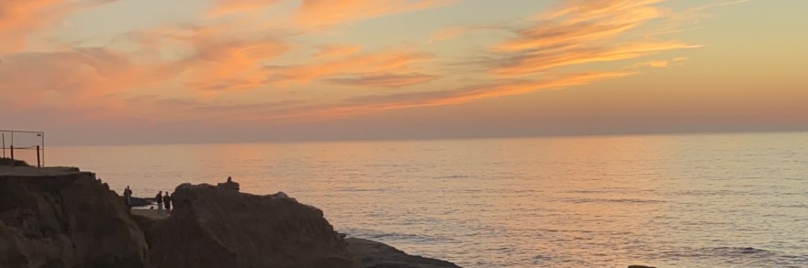 toriiiii_ann's profile banner image