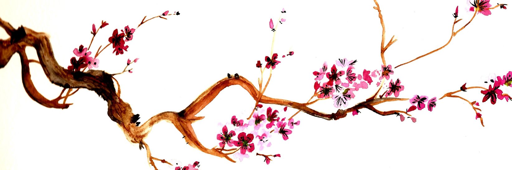 kirschen 🍒 banner
