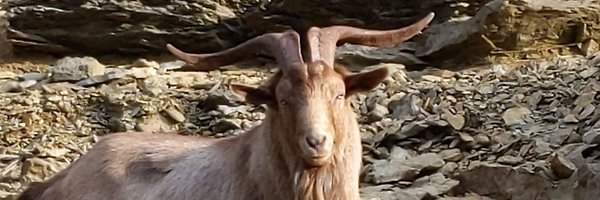 ChrisBlumer Profile Banner