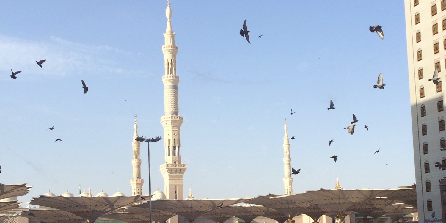 د.أسماء بن محمود banner