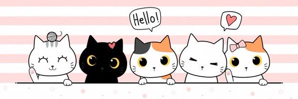 bettdata Profile Banner