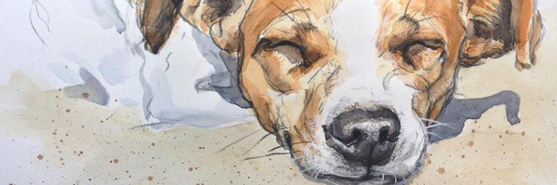 penroo's profile banner image