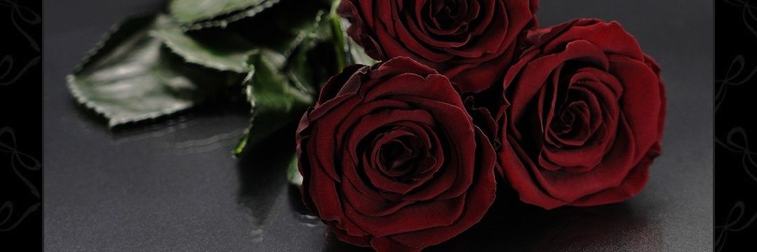 maria012's profile banner image