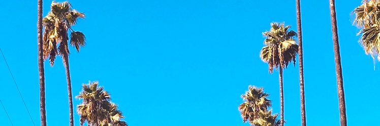 binnucum's profile banner image