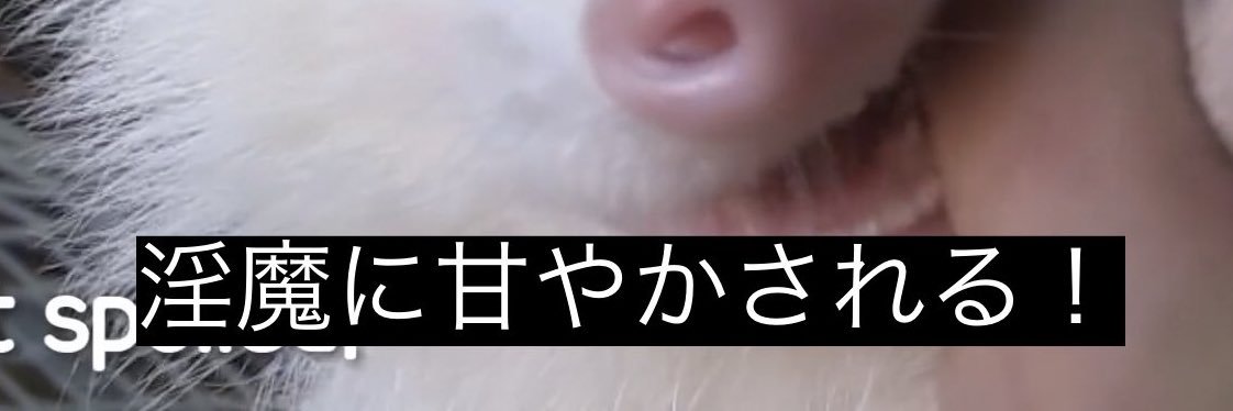 odaguri11's profile banner image
