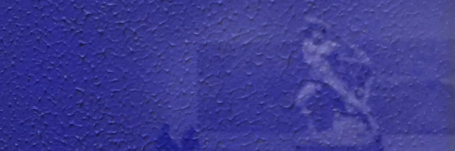 tosogio's profile banner image