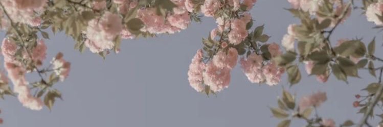 the_mnh's profile banner image