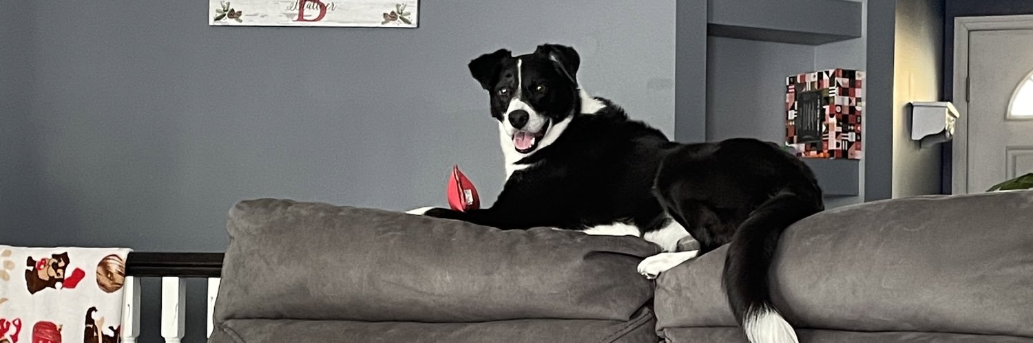 alliblattner's profile banner image