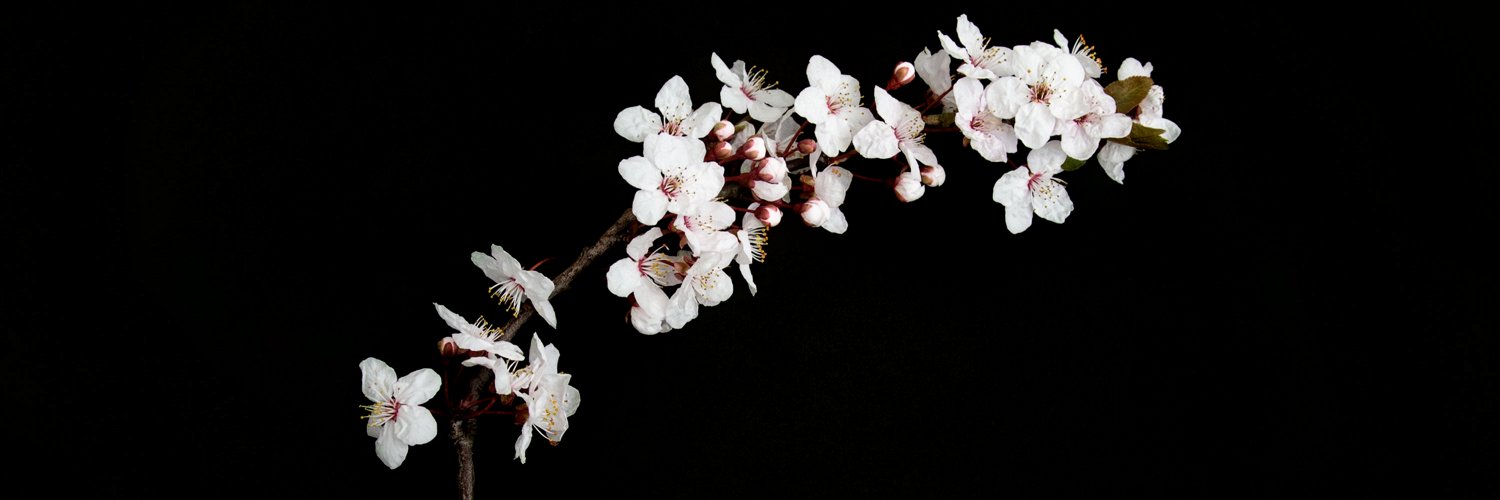 asphyxialis's profile banner image