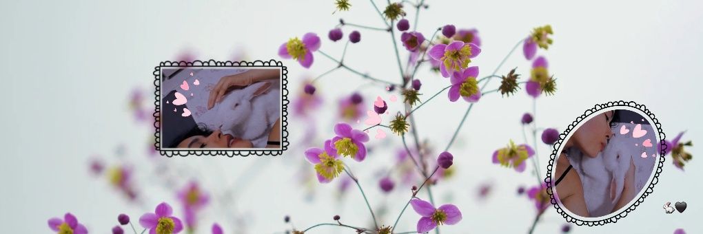 tt_anashun's profile banner image