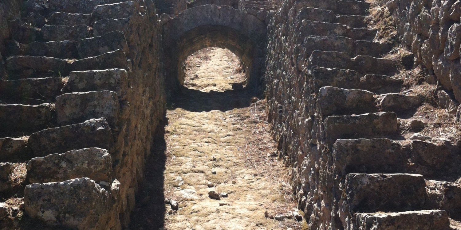 Cati Morell 🌹🎗 banner