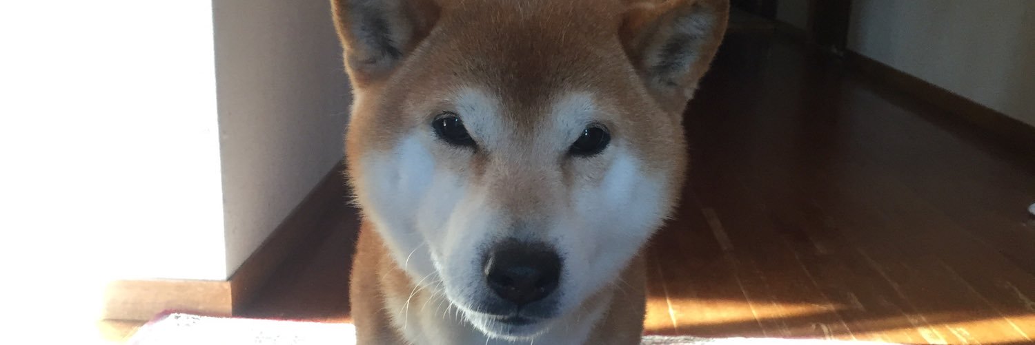 1981Riku's profile banner image