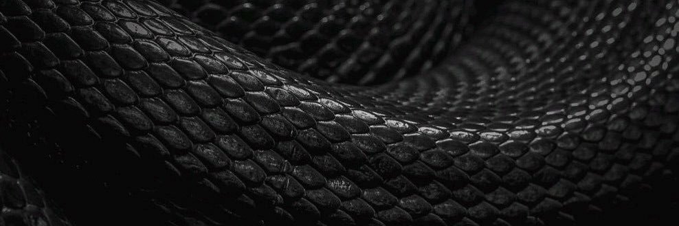 gilbert15100798's profile banner image