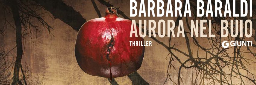 barbarabaraldi's profile banner image