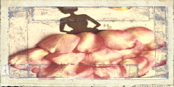 b_morning's profile banner image