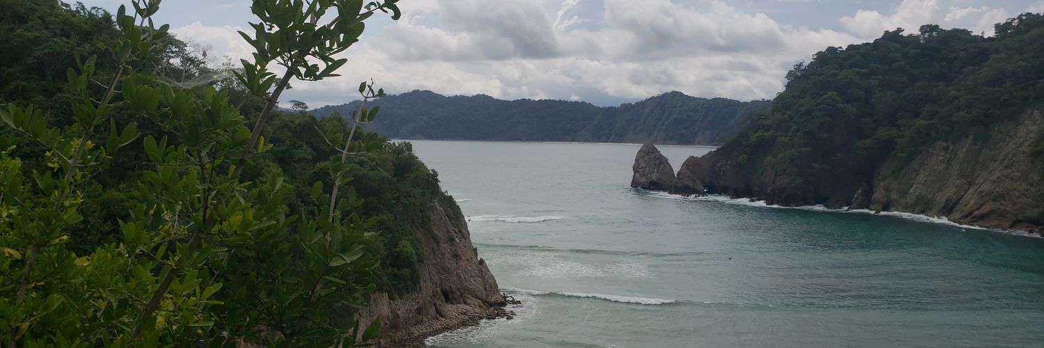 Bill Bedford. banner