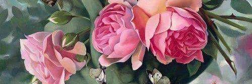 canan7228's profile banner image