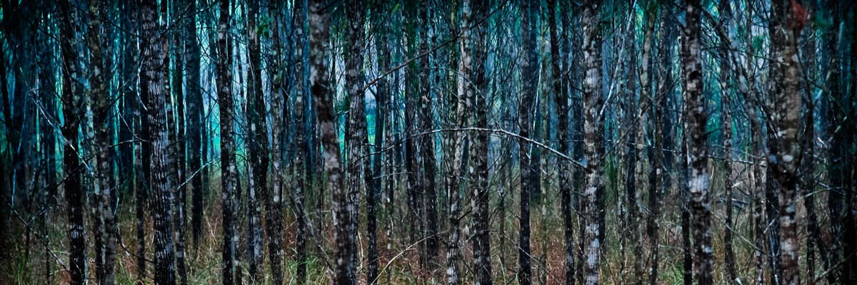 depthofreason's profile banner image