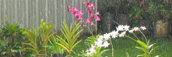 Darrian4719 Profile Banner