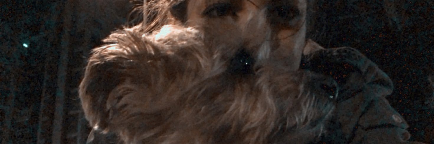 judnb97's profile banner image