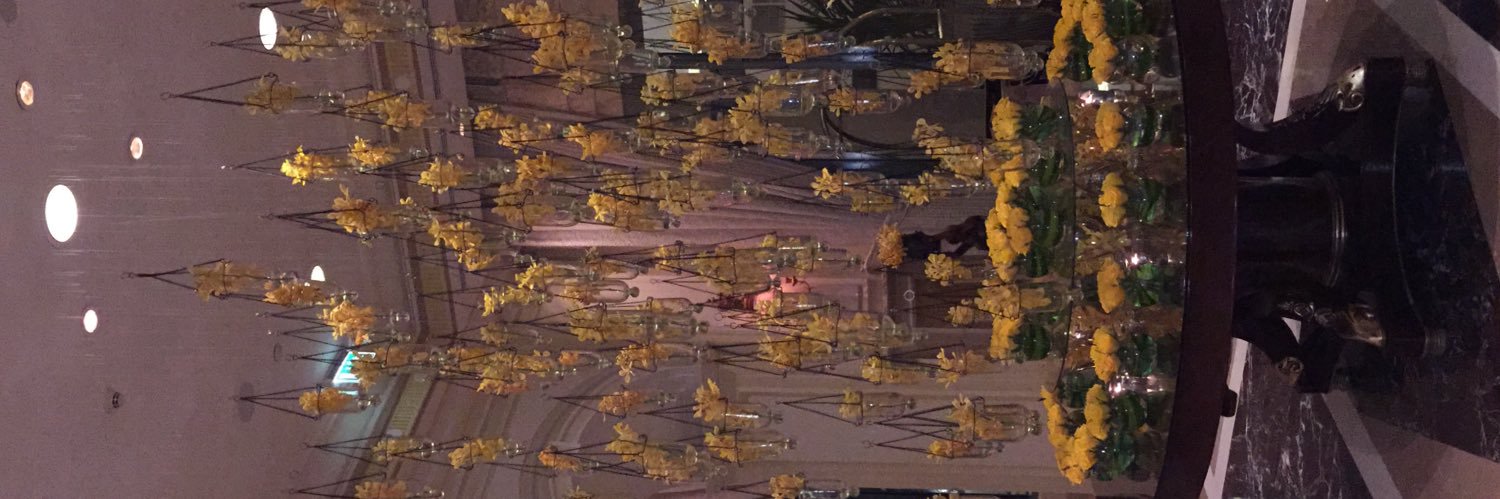 AlaliAyed's profile banner image