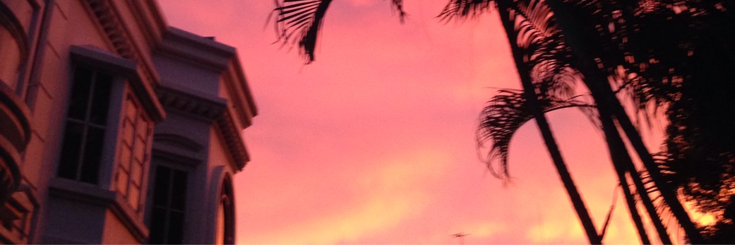 piekulathorn's profile banner image
