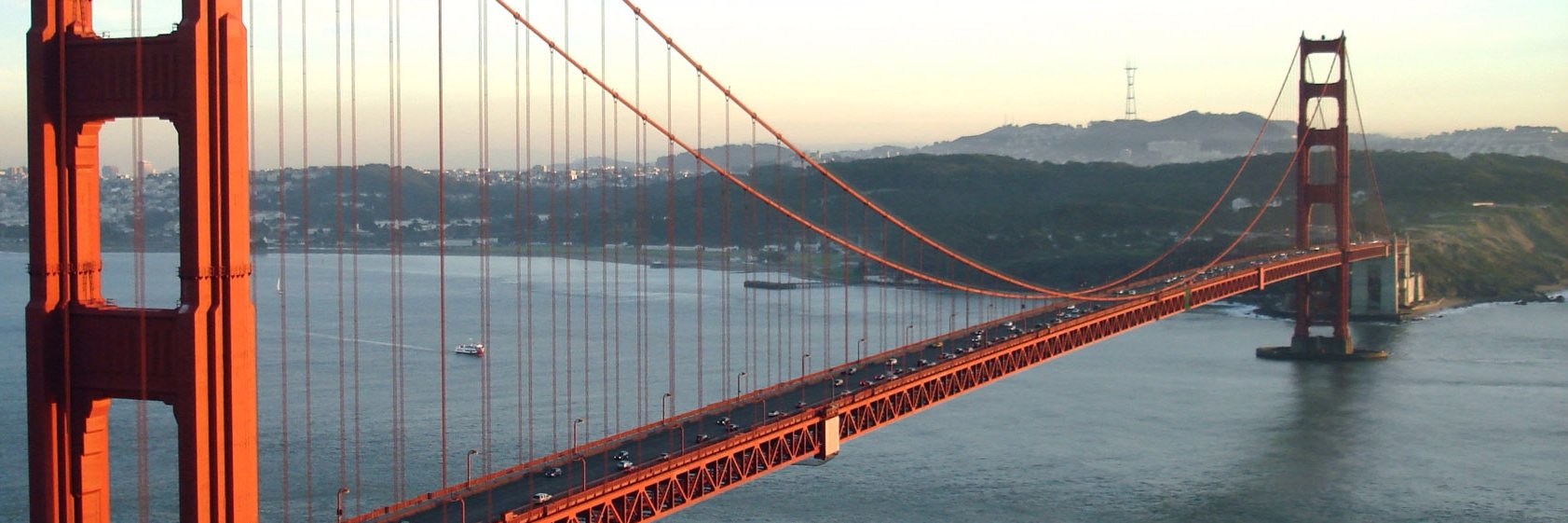 gardenofzensf's profile banner image