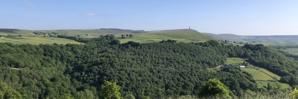 RogersSian Profile Banner