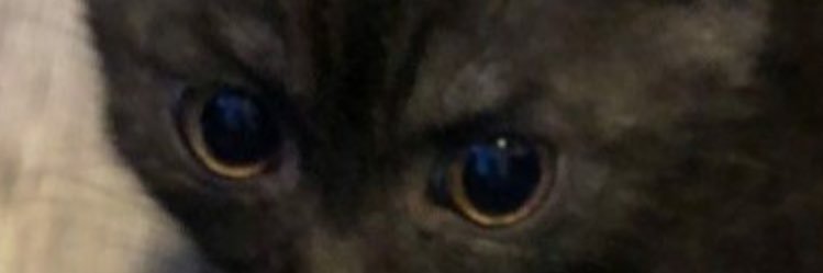 BELINDA_DON's profile banner image
