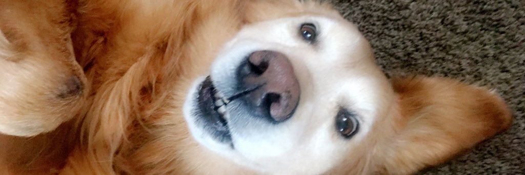nat_doering's profile banner image