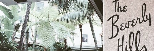 selsbadliars's profile banner image