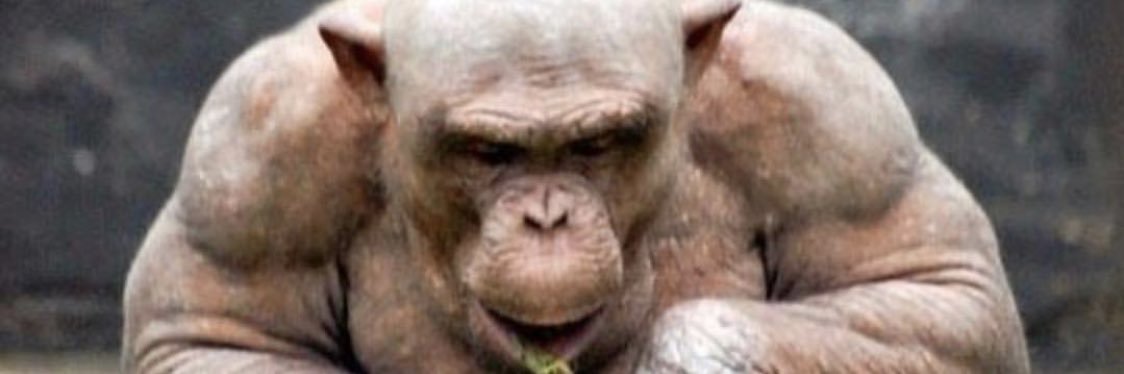 BigDogVandy's profile banner image
