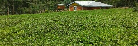 kip_keter's profile banner image