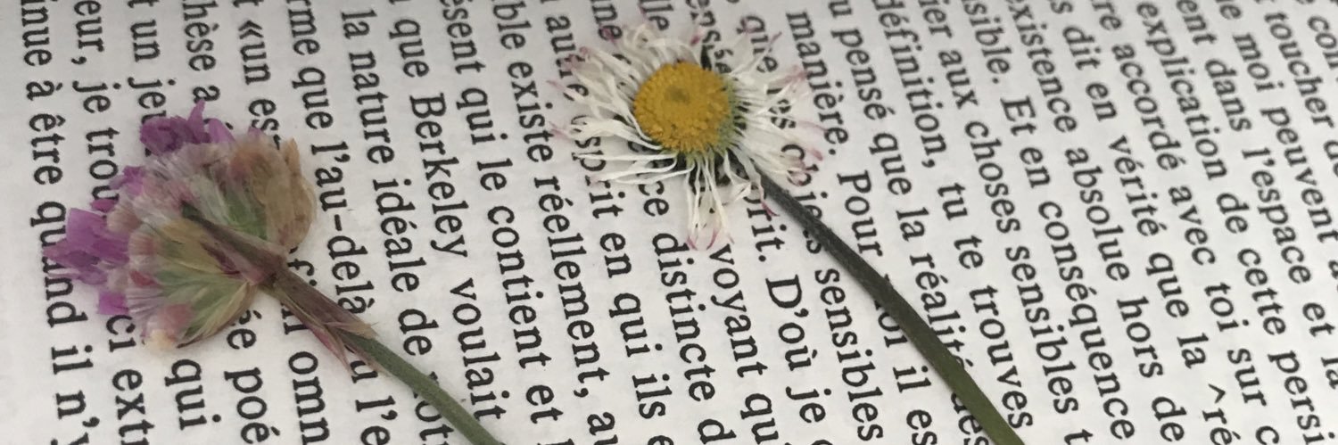 MarionLivet's profile banner image