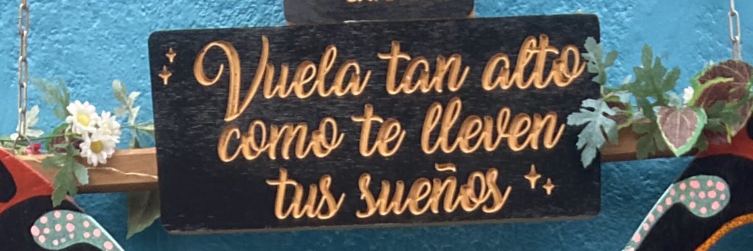 biiahooliveira's profile banner image