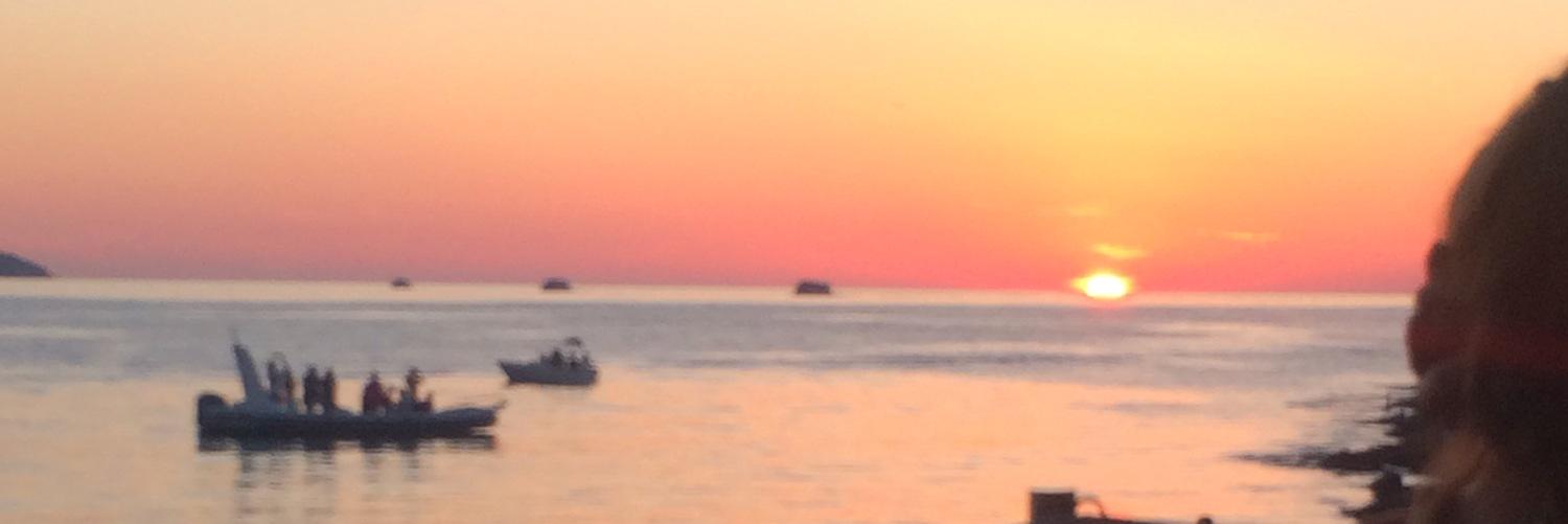 Hayley_C_smith's profile banner image