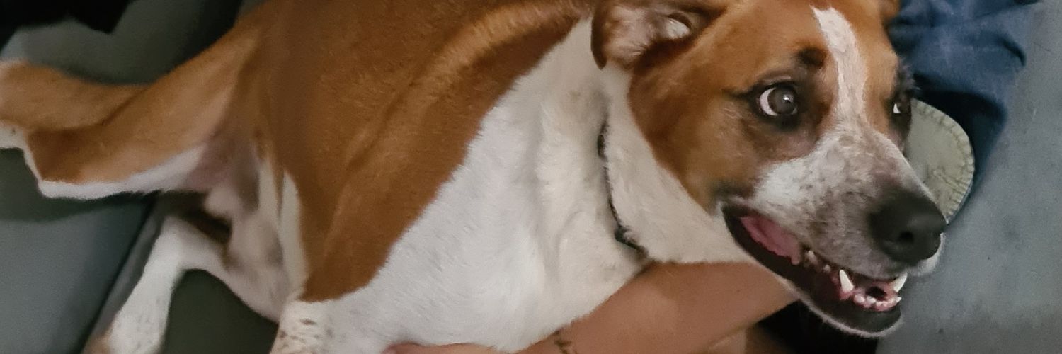Jsychop's profile banner image