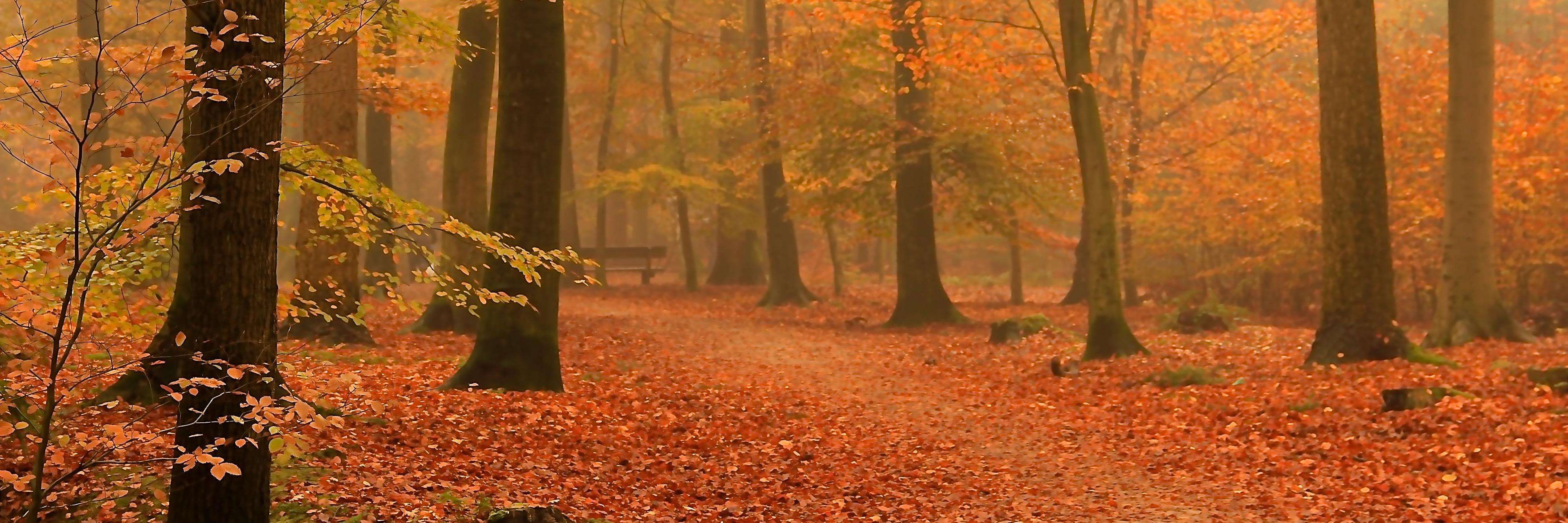 paumu2's profile banner image